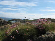 Summer Isles