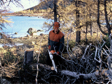 Harald Paul puuta