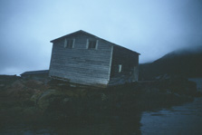 Asutus