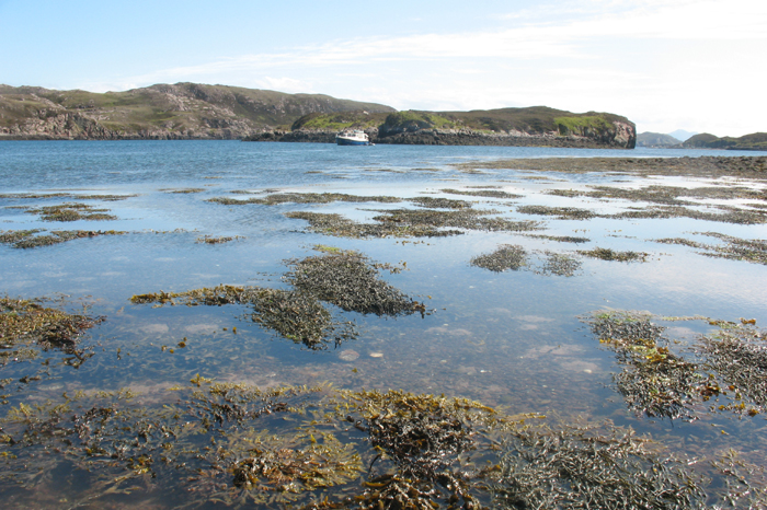 Strand – Projekt Abenteuer Kanada