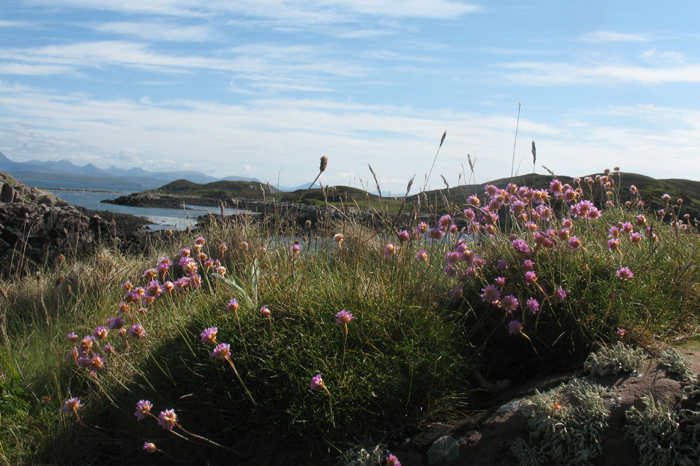 Sommerinseln – Projekt Abenteuer Kanada