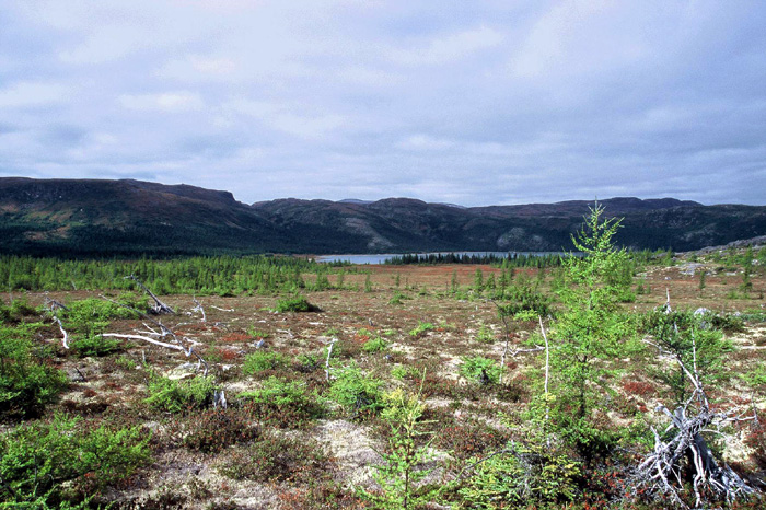 Projekt Abenteuer Kanada