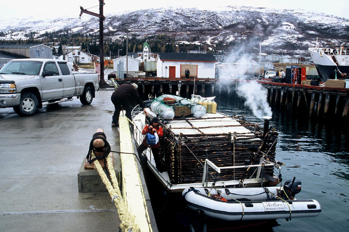 Gypsy Life – Projekt Abenteuer Kanada