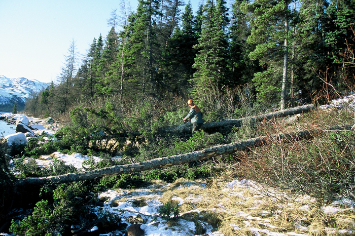 Projekt Abenteuer Kanada