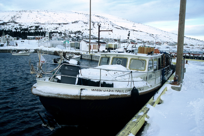 Gypsy Life – Projekt Abenteuer Kanada
