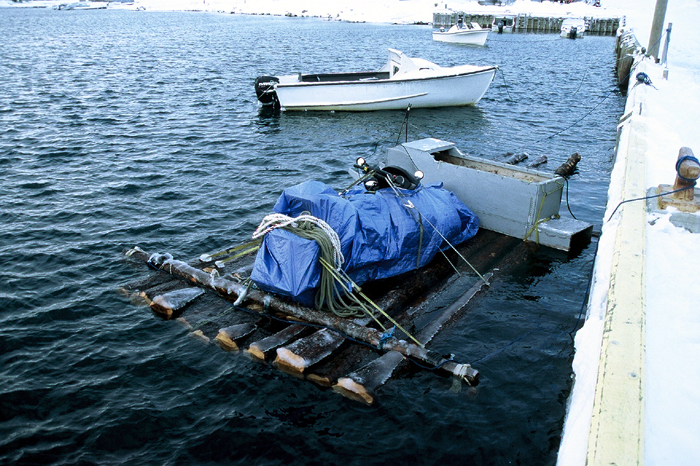 Projekt Abenteuer Kanada