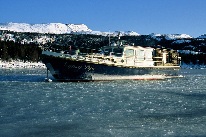 Gypsy Life – Projekt Abenteuer Kanada
