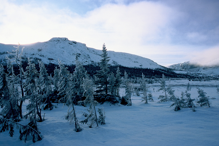 Projekt Abenteuer Kanada