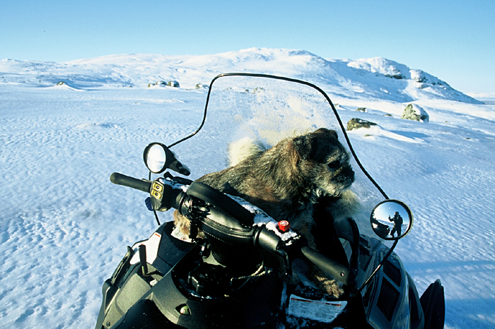 Projekt Abenteuer Kanada
