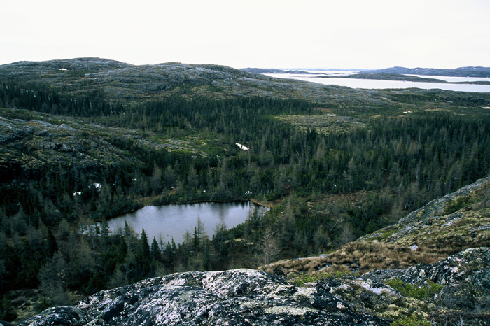 Projekt Abenteuer Kanada