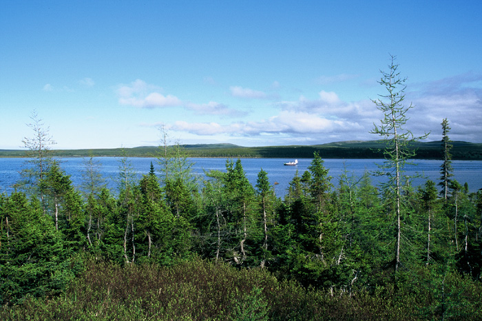 Projekt Abenteuer Kanada