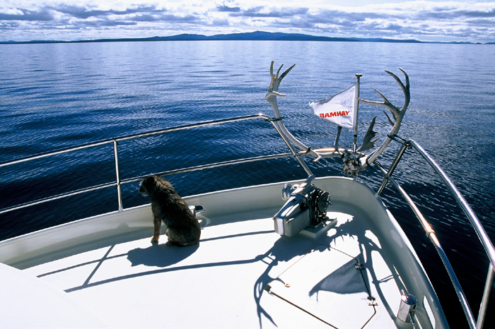 Projekt Abenteuer Kanada