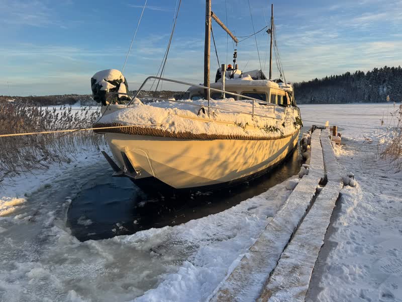 Den snötäckta Gypsy Life ligger infrusen bland vassen