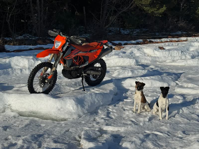 En motorcykel står på havsisen med två hundar framför