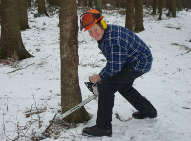 Paul tree – Tree felling