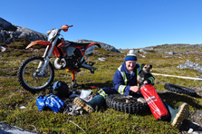 Harald Paul