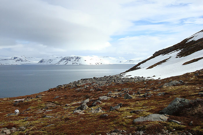 Alaska