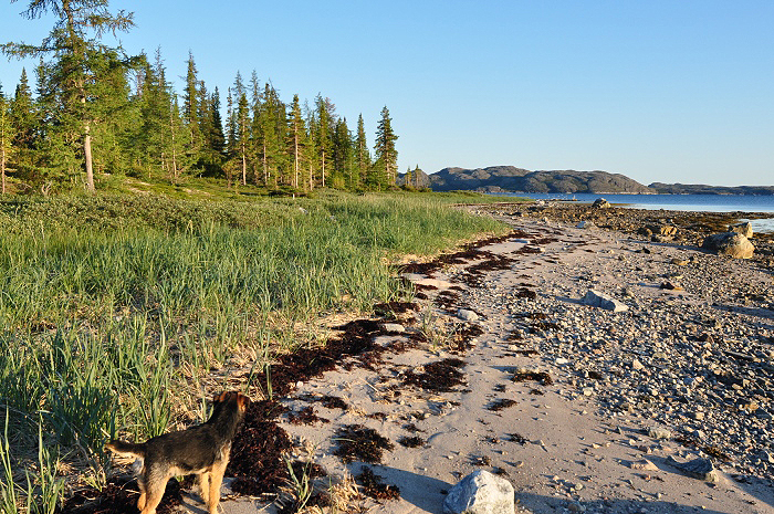 Alaska