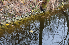 brown water – Heat Instead of Ice
