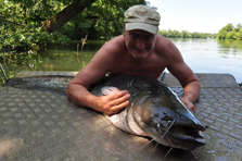Catfish – Heat Instead of Ice