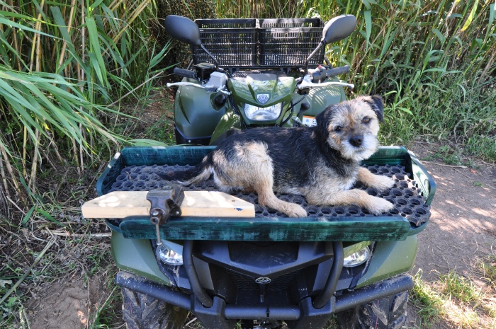 ATV – Heat Instead of Ice