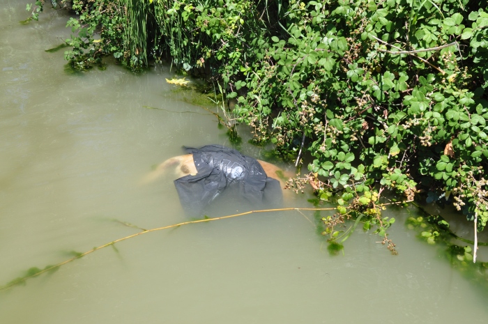 Dog – Heat Instead of Ice