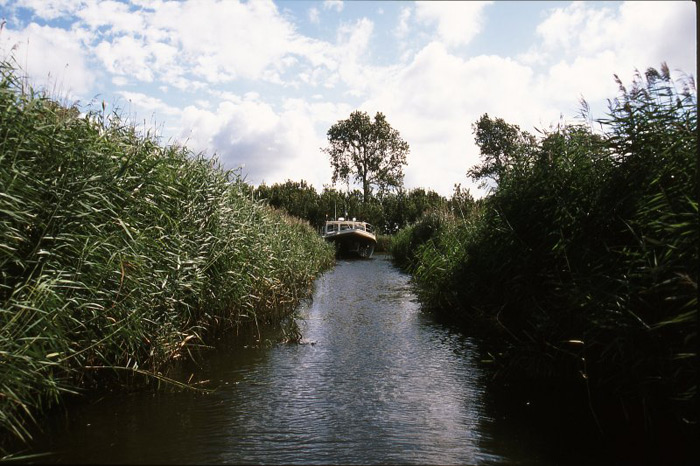 Gypsy Life Holland – British Isles Tour