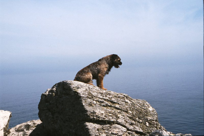 Cornwall – British Isles Tour