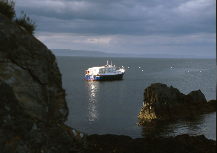 Gypsy Life Wales – British Isles Tour