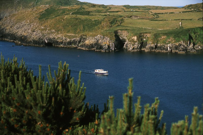 Gypsy Life Ireland – British Isles Tour