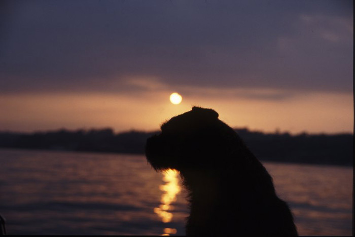 Evening light – British Isles Tour