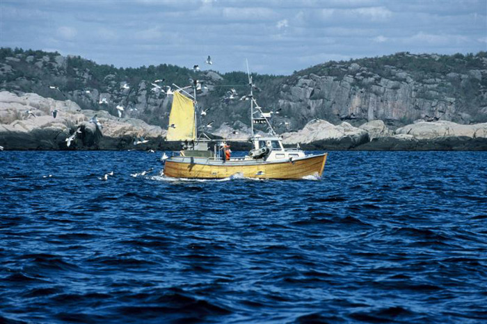 Norway fishing boat – Expedition Ice