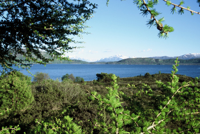 Norway Ålesund – Expedition Ice