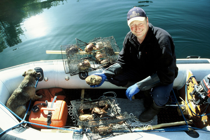Norway Harald Paul1 – Expedition Ice