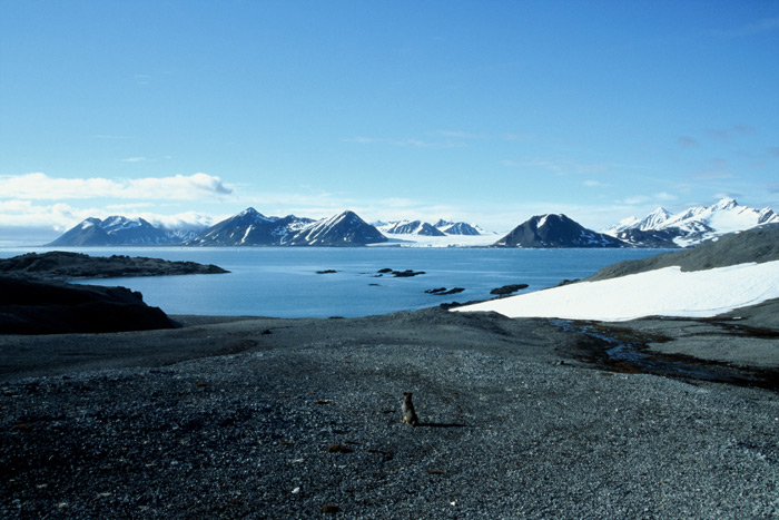 Spitsbergen Gåshamna Bay 5 – Expedition Ice