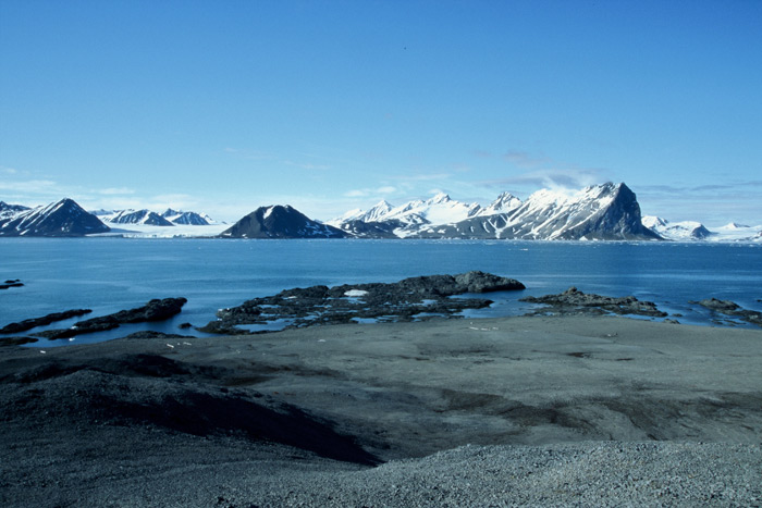 Spitsbergen Gåshamna Bay 6 – Expedition Ice