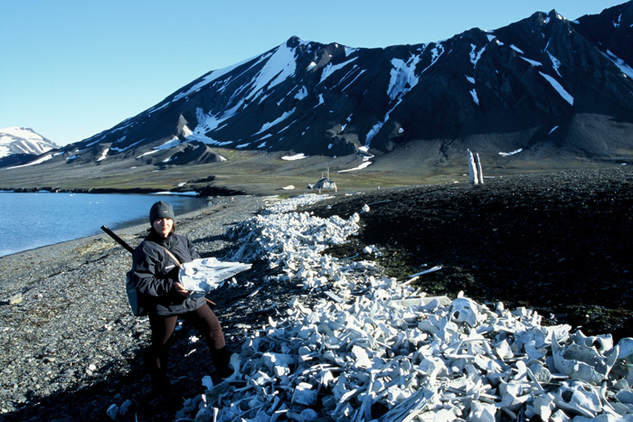 Van Keulen Fjord 1 – Expedition Ice