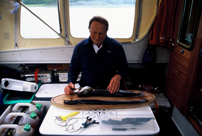 Harald Paul – Lapin matka