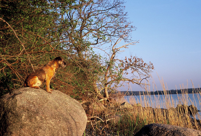Ruotsi – Lapin matka