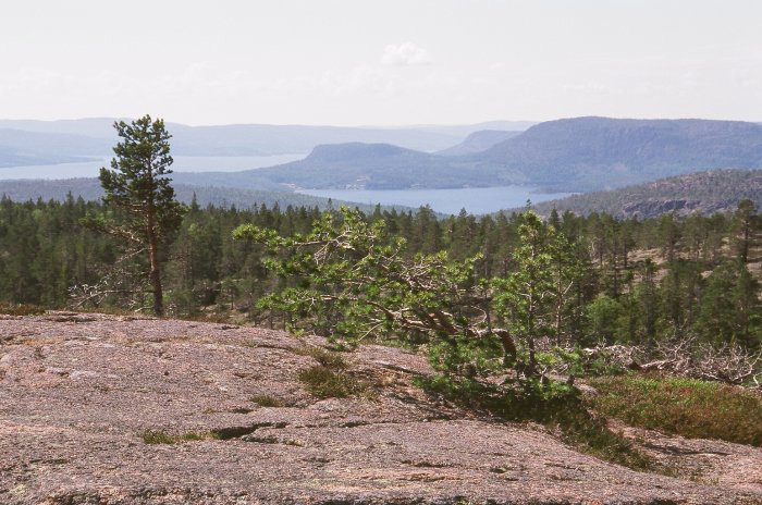 Ruotsin saaristo – Lapin matka